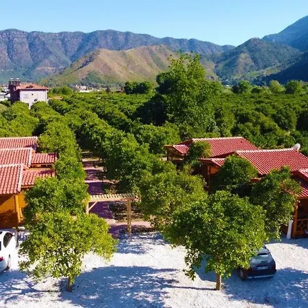 아파트호텔 Eliz Apart & Bungalow Kumluca